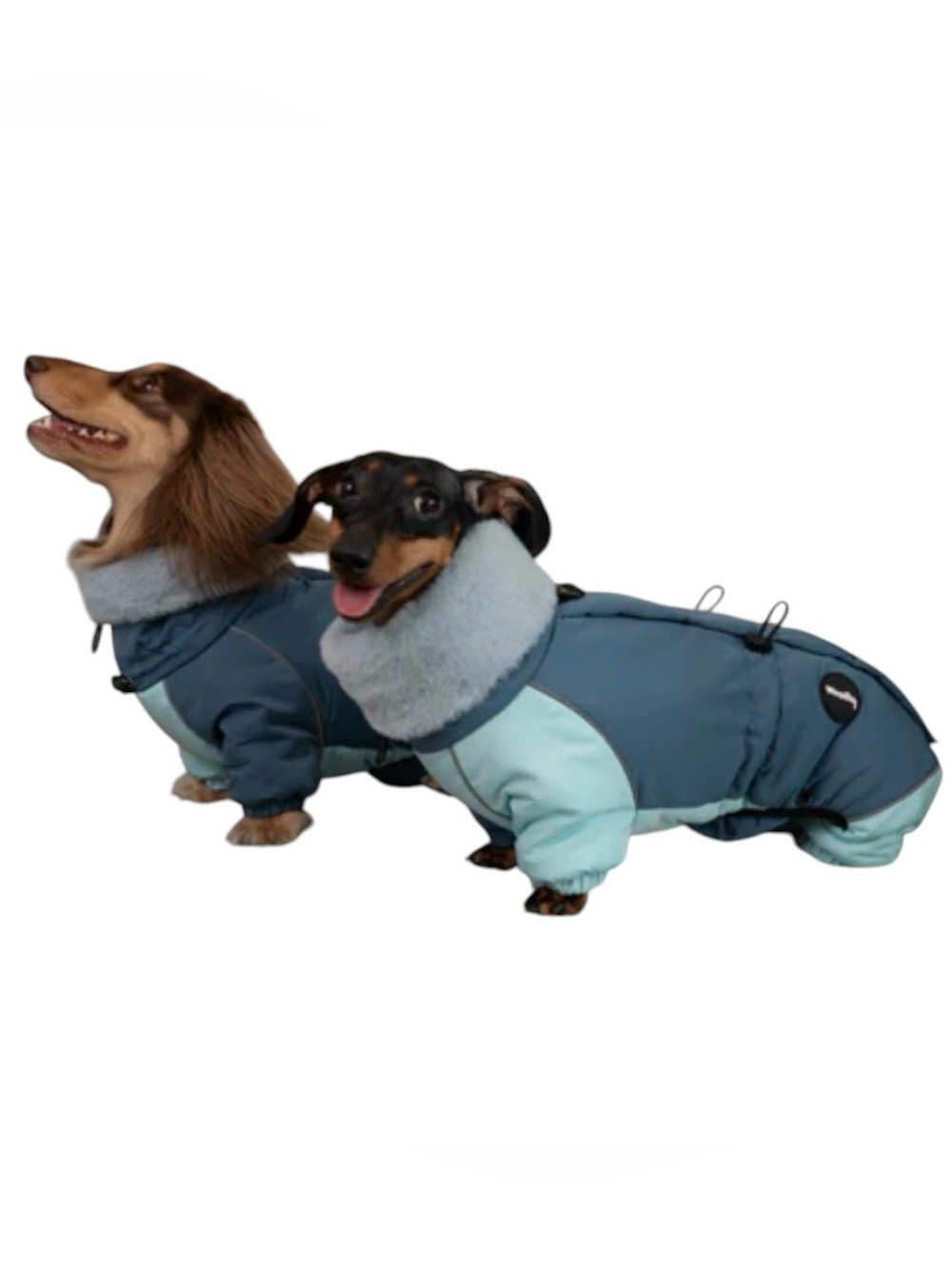 Wienie Day, sausage Pet Dog Winter Coat with Faux Fur Collar - Blue size S